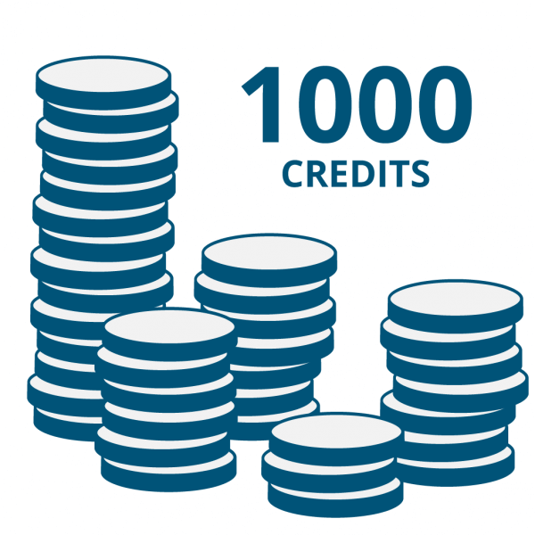 Credits for the E Code products’ online code function: 1000 Credits